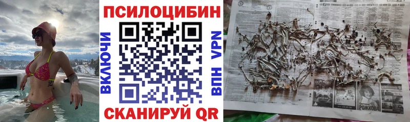 Псилоцибиновые грибы прущие грибы  kraken маркетплейс  Нерехта 